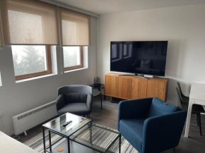 APARTMAN broj 9, SUNČANI BREG RESORT & SPA